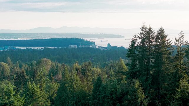 Elevated forested view from Norwood Avenue overlooking Vancouver&rsquo;s coastline with Lion&rsquo;s Gate Bridge visible on the distant horizon.