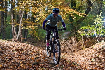Fototapeta premium Mountain Biker Navigates Leafy Autumn Trail Through Sunlit Forest On Rugged Singletrack
