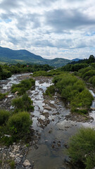 Mountain river in the Carpathian Mountains