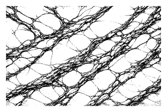 Abstract cracked stone texture with intricate veins background