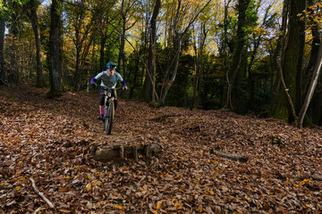 Obraz premium Autumn Forest Mountain Biker Navigates Leafy Trail Amid Dappled Sunlight and Quiet Woods