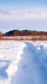 Vertical shot of countryside landscape with empty footpath trampled in snow among snowbanks and frozen plants in snowbound field at sunny winter day with stormy wind. No people rural background.