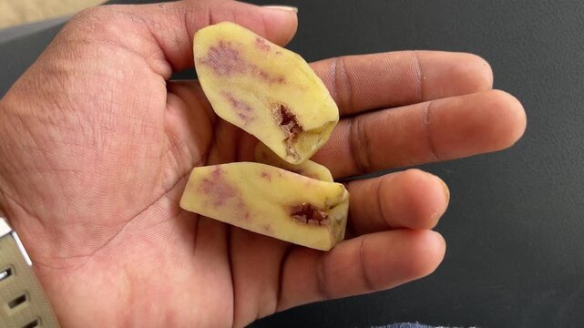 Close up of a person holding sliced raw potato pieces showing internal bruising and rot