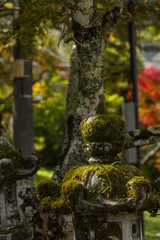 日本　広島県三原市八幡町にある御調八幡宮の苔の生えた灯籠
