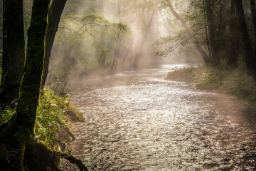 Jesienne mgły na Mazurach. Rzeka Mar&oacute;zka.