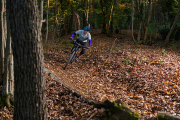 Mountain Biker Navigates Forest Trail Amid Autumn Leaves in Action Shot