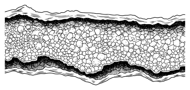 Detailed hand drawn cross section of a riverbed filled with smooth stones and pebbles