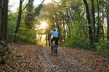 Obraz premium Cyclist on Forest Trail at Sunset: Autumn Ride Through Leaves and Sunlight, Energetic Nature Escape