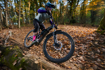 Fototapeta premium Intense Mountain Biker Navigates Leafy Autumn Forest Trail with Speed, Focus, and Skill