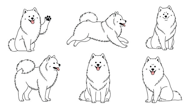 Multiple illustrations of a fluffy white samoyed dog shown in various active poses like running sitting and waving on a white background.