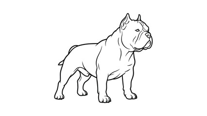 Fototapeta premium Strong and muscular american pitbull terrier shown in a clean black and white line art profile drawing emphasizing the breed's athletic build.