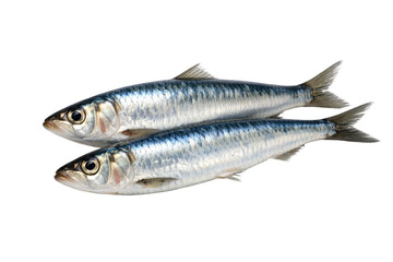 Fototapeta premium Two silvery fish are stacked on top of each other with visible scales and fins against a plain background in a close up view