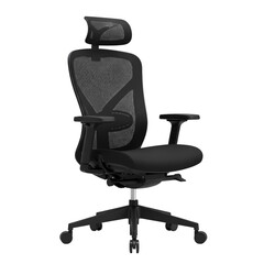 Ergonomic Office Chair, Black Mesh Design for Comfort and Productivity