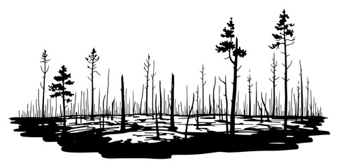 Black and white sketch of a burnt forest landscape after a wildfire with charred trees