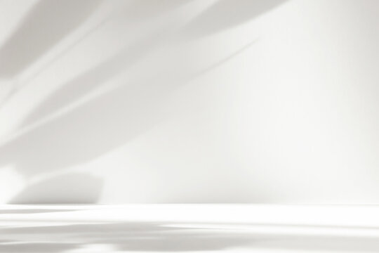 Abstract white color studio background for product presentation. Empty room with shadows of window and flowers and plant leaves . 3d grey room with copy space. Summer concept. Blurred backdrop.
