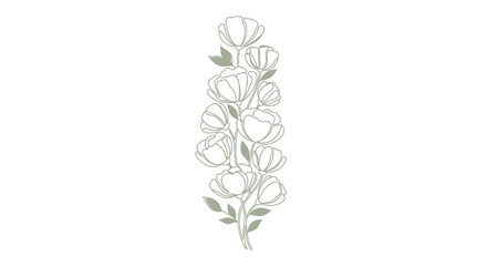 Obraz premium Vector floral illustration of white flowers with green leaves, for banner or poster, isolated on transparent background, png