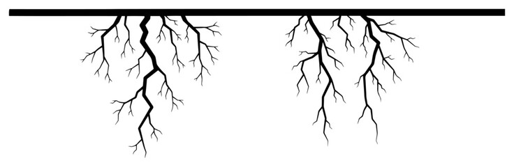 Fototapeta premium Simple black and white illustration of two branching cracks or root systems descending from a top edge
