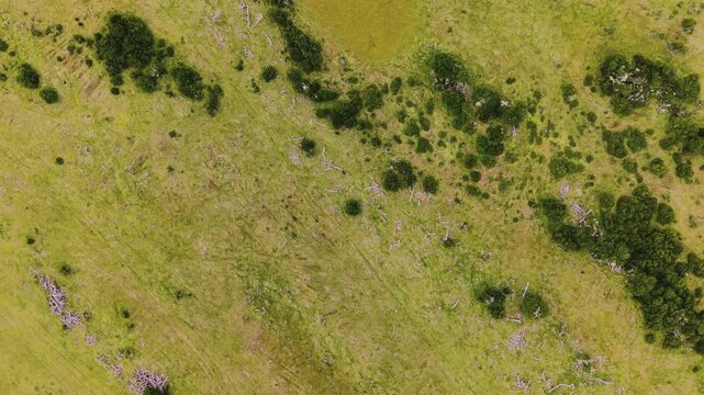 Top-down drone view of Patagonian farmland and pasture with scattered shrubs and dry brush patterns near &Uacute;ltima Esperanza, Magallanes, Chile.