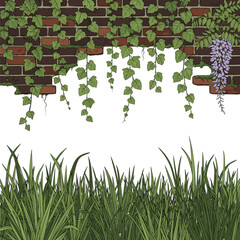 Isolated a kinds of deferent realistic green grass Green climbing vines hanging over an old brick wall, creating a natural and rustic background for eco and botanical design concepts., vector art . © Akhi