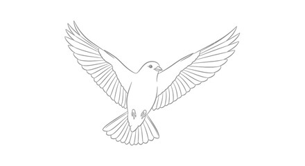 Obraz premium a-bird-in-mid-flight-line-art.