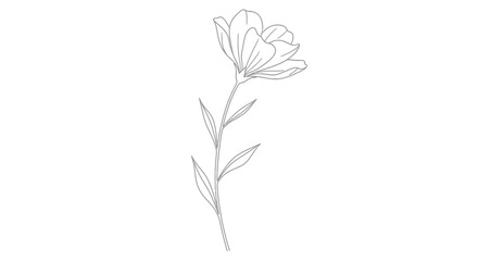  a-flower-growing-upward-line-art