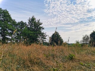 Paisaje de la marisma. Beautiful trees and sky clouds at top of mountains with amazing view, travel adventure concept. Altocumulus clouds. Glade in a mixed forest in autumn. Itxina massif.
