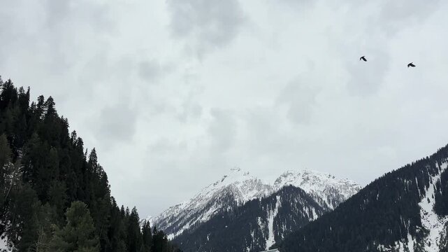 Peaceful natural landscape of Aru Valley featuring lush green meadows, pine forests, flowing rivers, and majestic Himalayan mountains near Pahalgam, Kashmir.