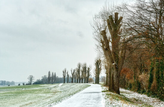 Winterlandschaft auf dem Deich am Rhein in Kaiserswerth