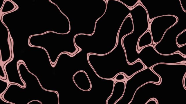 Dynamic pink lines over black background contrasted with pure white lower half - graphic composition highlighting contrast and minimalism from top view