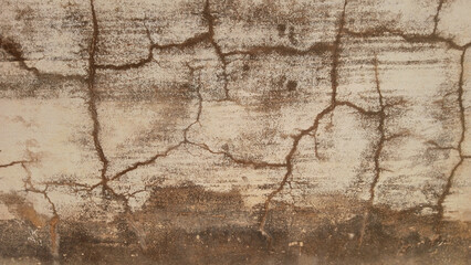 Obraz premium Old wall texture.