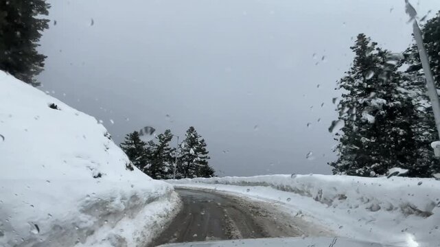 Scenic road and pathway leading to Aru Valley surrounded by lush meadows, pine forests, rivers, and Himalayan mountain landscapes near Pahalgam, Kashmir.