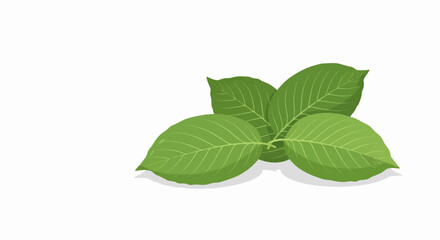 A cluster of vibrant green leaves with visible veins, casting subtle shadows