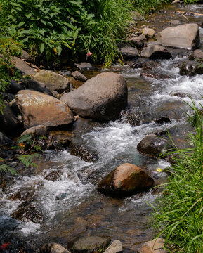 A clear river stream flowing over rocks in a lush green environment. Ideal for meditation app backgrounds, environmental awareness posters, or nature-themed advertisements.