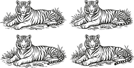 Fototapeta premium Illustrations of reclining tigers with detailed stripes, resting in grass and foliage