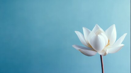 Obraz premium Floral background for graphic design projects, great for branding, promotional, and editorial use.