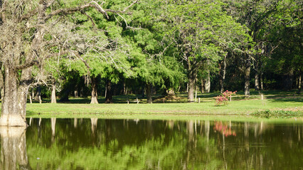 Beautiful Natural Reflection. Nature Background.