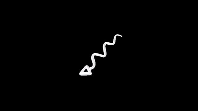 Animated arrows guiding every move.
