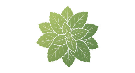 Fresh basil leaf illustration, green herb icon for culinary website or marketing material Isolated on transparent background
