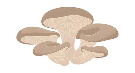 Brown mushrooms illustration, fungi or toadstools for botanical design or educational material Isolated on transparent background
