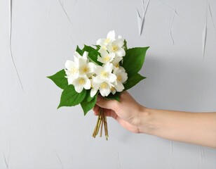Hand holding a delicate bouquet of fragrant white jasmine flowers with vibrant green leaves against a textured grey background soft natural light accentuates the blossoms
