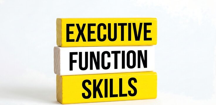 A stack of colorful blocks with the text EXECUTIVE FUNCTION SKILLS. A conceptual of cognitive development, mental health, leadership and brain training  ,concept, education, child, children,