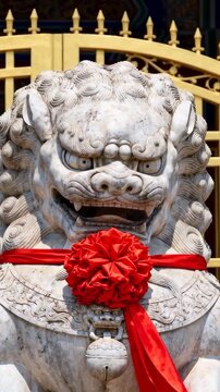 Vertical video: Pulling back camera revealing stone lion statue at shrine with red rosette and bell
