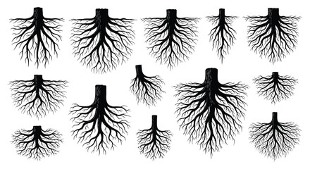 A collection of detailed tree root silhouettes showcasing varied branching patterns on transparent background high quality professional modern elegant stylish clean