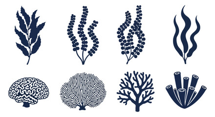 A collection of detailed blue seaweed and coral illustrations presented as a silhouette on transparent background high quality professional modern elegant © rabbivay