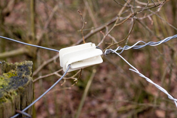 Weidezaun Isolator 5