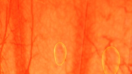 Skin Tissue with Layers, Cells, and Functions anatomy. 3d render