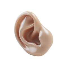 Obraz premium A close up of a human ear with a white background