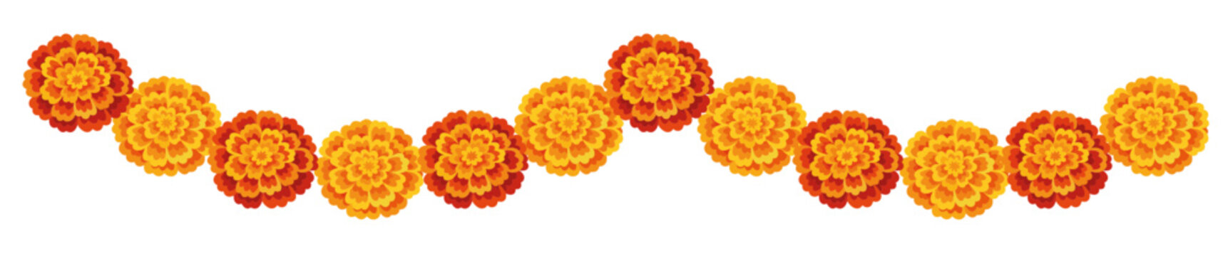 Orange and Yellow Marigold Flower Garland String, Traditional Indian Festive Toran Decoration, Zendu Flowers Isolated on Background for Diwali, Halloween and Dia de los Muertos Vector Illustration 
