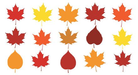 Vibrant Assortment of Colorful Autumn Leaves in Various Shapes and Hues, Perfect for Seasonal Designs, Nature-Themed Projects, and Fall Foliage Inspired Graphics
