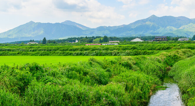 春空と田園に映える 「水の生まれる郷」 で出会う、一期一会の列車旅。 南阿蘇村(白川水源駅) A once-in-a-lifetime train journey to the "home of water" illuminated by the spring sky and countryside. Minamiaso Village (Shirakawa Suigen Station)